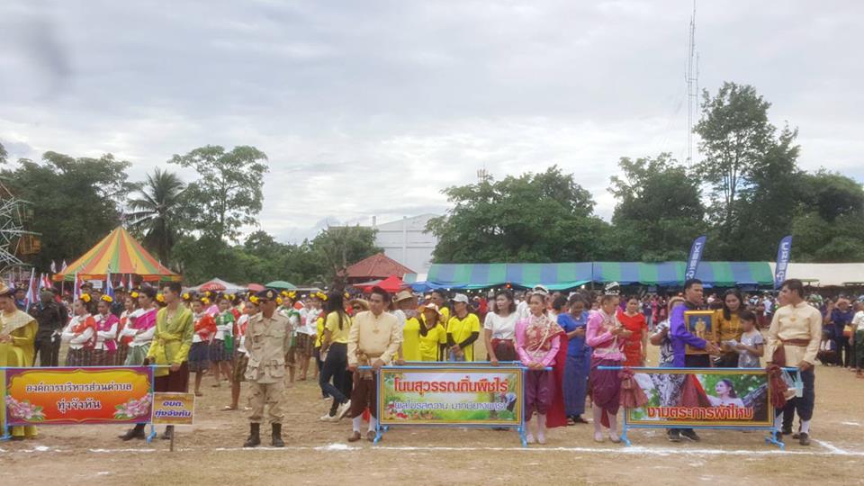 งานวันสืบสานประเพณีของดีโนนสุวรรณ ประจำปี 2561