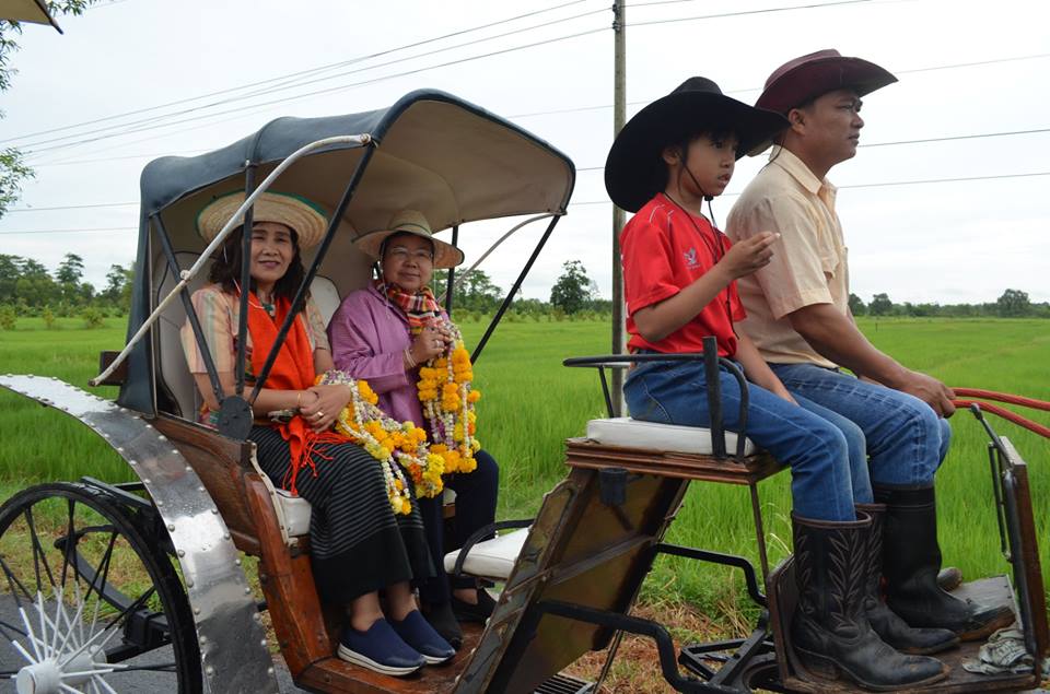 ประกวดชุมชนท่องเที่ยว OTOP นวัตวิถี ต้นแบบ ประเมินผลการดำเนินงานชุมชนท่องเที่ยว OTOP นวัตวิถี บ้านโคกว่าน