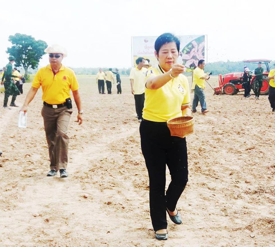 ร่วมโครงการรณรงค์ปลูกปอเทือง เนื่องในวันดินโลก เพื่อเฉลิมพระเกียรติพระบาทสมเด็จพระปรมินทรมหาภูมิพลอดุลยเดช รัชกาลที่ 9