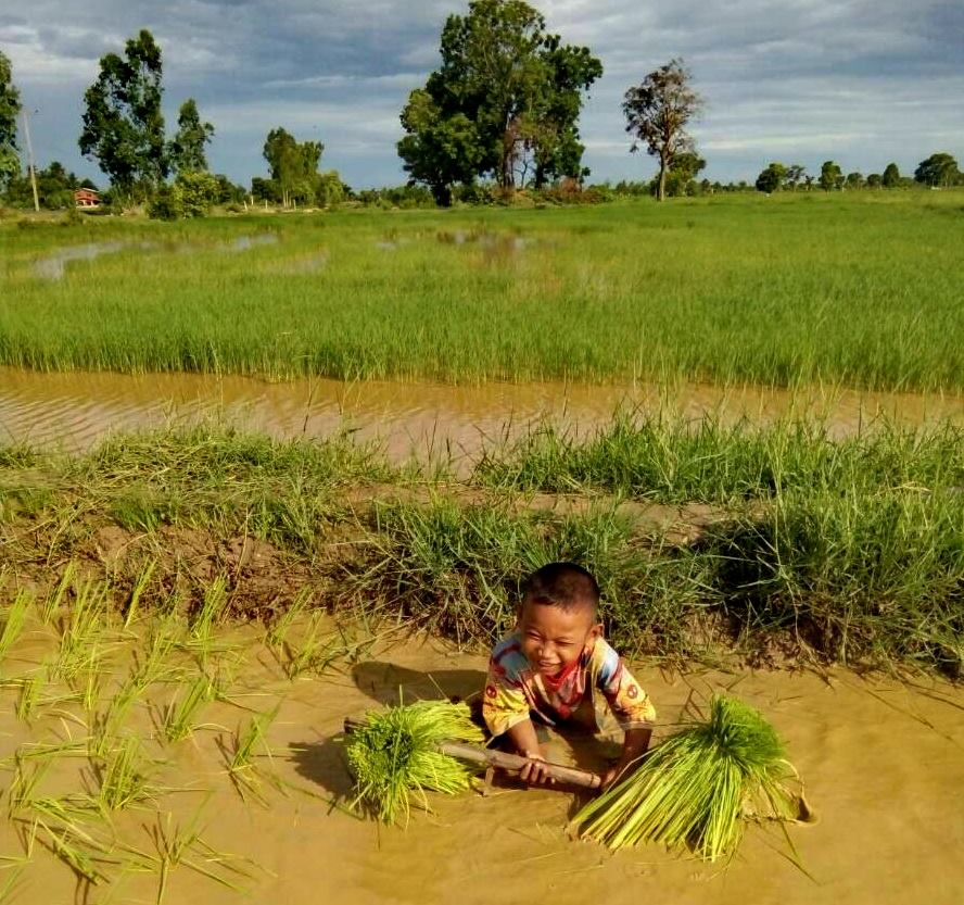 ฒนาการจังหวัดบุรีรัมย์9รวจเยี่ยมการดำเนินงานชุมชนท่องเที่ยว OTOP นวัตวิถี