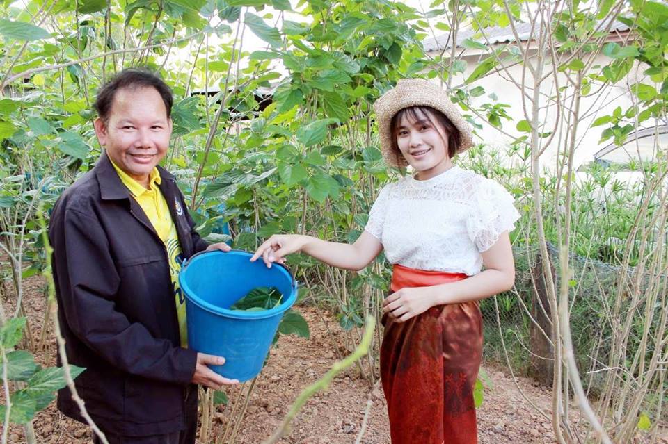 พช.บุรีรัมย์ เปิดชุมชนท่องเที่ยว OTOP นวัตวิถี เงินสะพัด นักท่องเที่ยวทะลักเข้าบุรีรัมย์