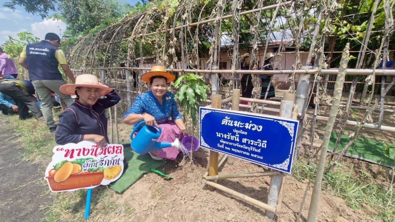 🔆พช.บุรีรัมย์🔆 ขับเคลื่อนกิจกรรมต่อยอดและขยายผลการน้อมนำแนวพระราชดำริฯ สู่ปฏิบัติการปลูกผักสวนครัวเพื่อสร้างความมั่นคงทางอาหาร ตามโครงการ “ เส้นทางมีผล ผู้คนรักกัน” สู่หมู่บ้านต้นแบบระดับจังหวัด