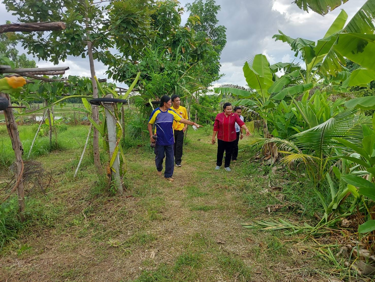 🔆พช.บุรีรัมย์🔆 ติดตามสนับสนุนการดำเนินงานศูนย์เรียนรู้การพัฒนาคุณภาพชีวิตตามหลักทฤษฎีใหม่ประยุกต์สู่ โคก หนอง นา