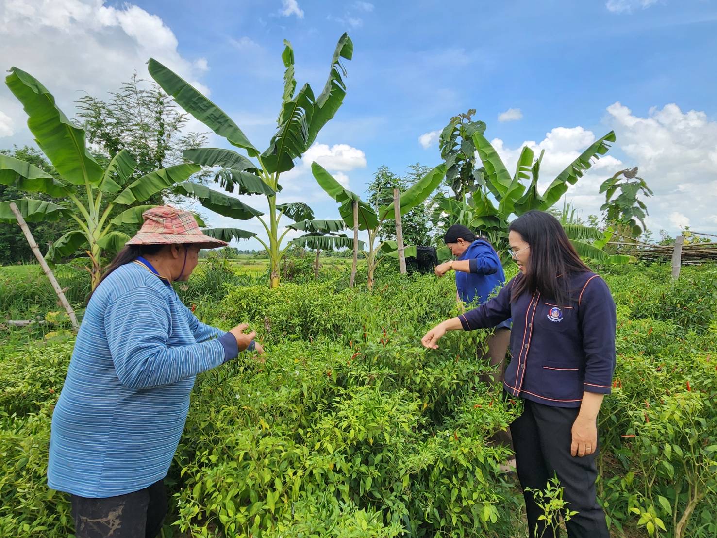 🔆พช.บุรีรัมย์🔆GROWTH TEAM BURIRAM สร้างสรรค์ สร้างสุข : ติดตามและสนับสนุนการดำเนินงานกองทุนพัฒนาบทบาทสตรี อำเภอห้วยราช