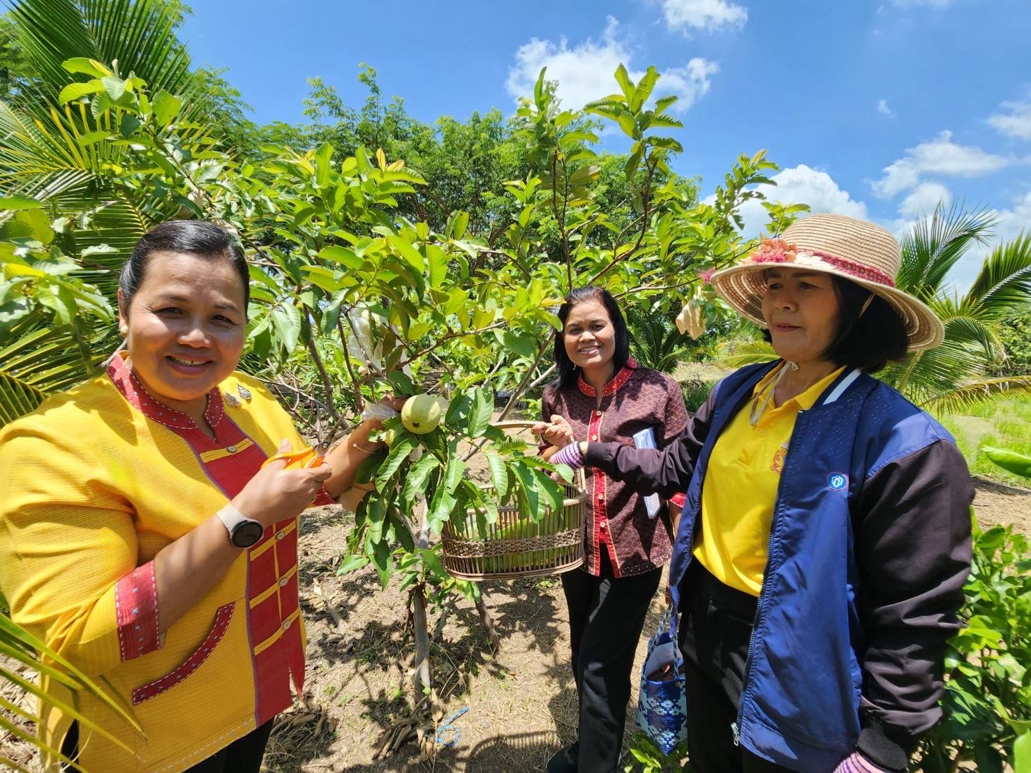 🔆พช.บุรีรัมย์🔆 GROWTH TEAM BURIRAM สร้างสรรค์ สร้างสุข : ติดตามผลผลิตแปลงโคก หนอง นา พัฒนาชุมชน