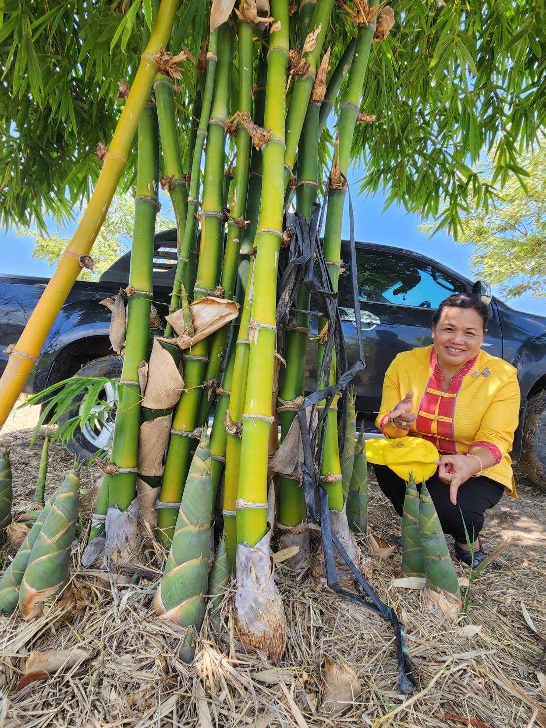 🔆พช.บุรีรัมย์🔆 GROWTH TEAM BURIRAM สร้างสรรค์ สร้างสุข : ติดตามผลผลิตแปลงโคก หนอง นา พัฒนาชุมชน