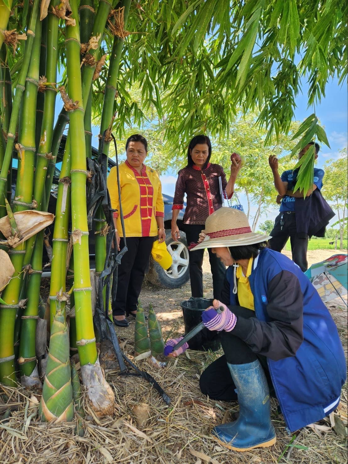 🔆พช.บุรีรัมย์🔆 GROWTH TEAM BURIRAM สร้างสรรค์ สร้างสุข : ติดตามผลผลิตแปลงโคก หนอง นา พัฒนาชุมชน