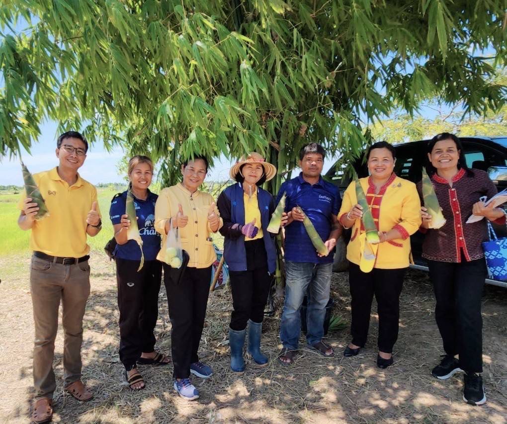 🔆พช.บุรีรัมย์🔆 GROWTH TEAM BURIRAM สร้างสรรค์ สร้างสุข : ติดตามผลผลิตแปลงโคก หนอง นา พัฒนาชุมชน
