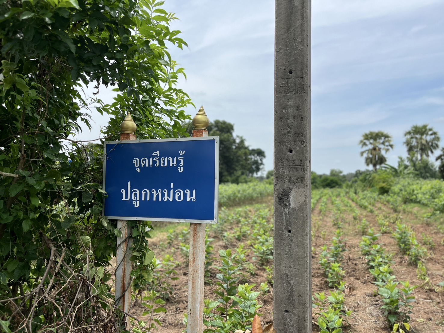 🔆พช.บุรีรัมย์🔆GROWTH TEAM BURIRAM สร้างสรรค์ สร้างสุข : ขับเคลื่อนโครงการตามแนวพระดำริ “ผ้าไทยใส่ให้สนุก”