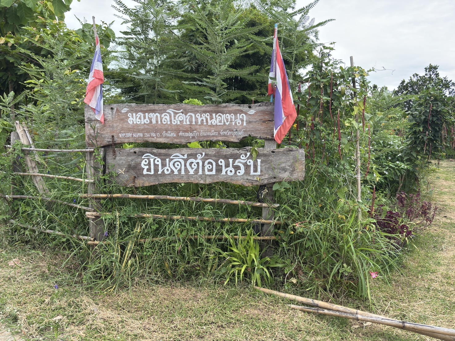 🔆พช.บุรีรัมย์🔆 GROWTH TEAM BURIRAM สร้างสรรค์ สร้างสุข : ลงพื้นที่เตรียมความพร้อม การจัดกิจกรรมเฉลิมพระเกียรติพระบาทสมเด็จพระเจ้าอยู่หัว 28 กรกฎาคม 2568